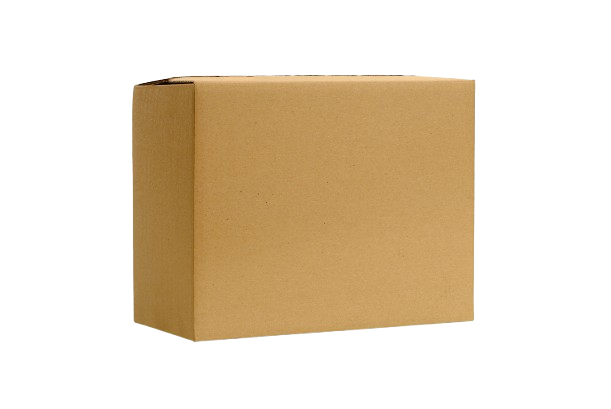 Carton Box 20 inches